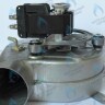 1.029601 Вентилятор дымоудаления Immergas Eolo Mini 24 3 E (33W) 1.029601 в Новосибирске