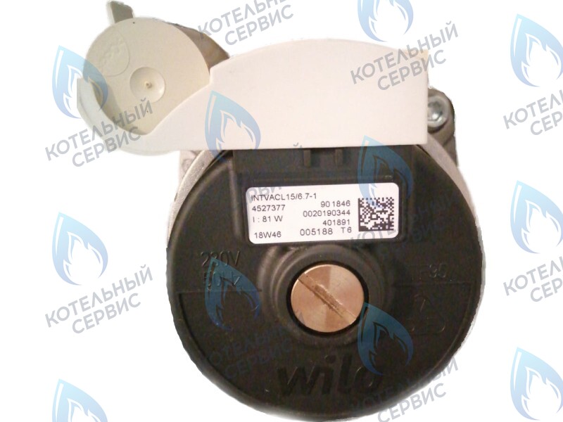 0020186161 Двигатель насоса Protherm Lynx Condens 18/25 MKV -A (H-RU) (81W) (без улитки) (против часовой, втулка 40мм, колесо 68/21мм) в Новосибирске