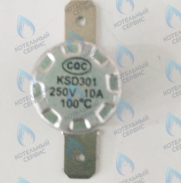 46360830 Термостат 100°С (silver) FERROLI в Новосибирске