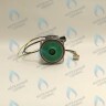 PH-W21CCW60-DA90PR-5PIN Двигатель насоса Duca APW-R 15-6.2A (против часовой стрелки) PROTHERM Пантера H-RU (0020197549, 0020209790) (замена WILO INTVACL 15/6.7-2) ПАНТЕРА 35 KTV H-RU (0020186162) (замена VACL 15/7) в Новосибирске