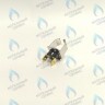 46360930 Термостат 100?, шт FERROLI в Новосибирске