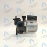 AA10010005 Насос GRUNDFOS UPS15-60 AOKR ELECTROLUX Hi-Tech 32 Fi в Новосибирске