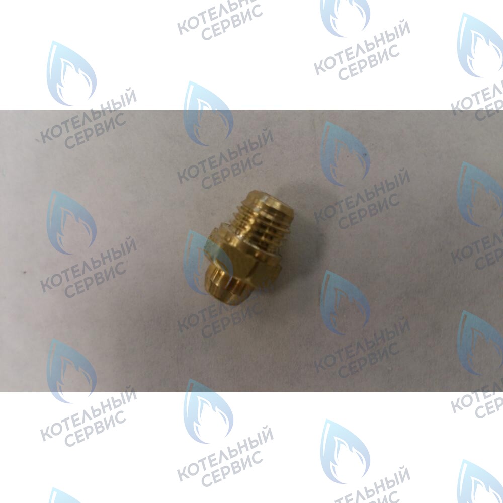 6306101018 Инжектор Ø 0,80 (Сжиженный газ) BAXI в Новосибирске