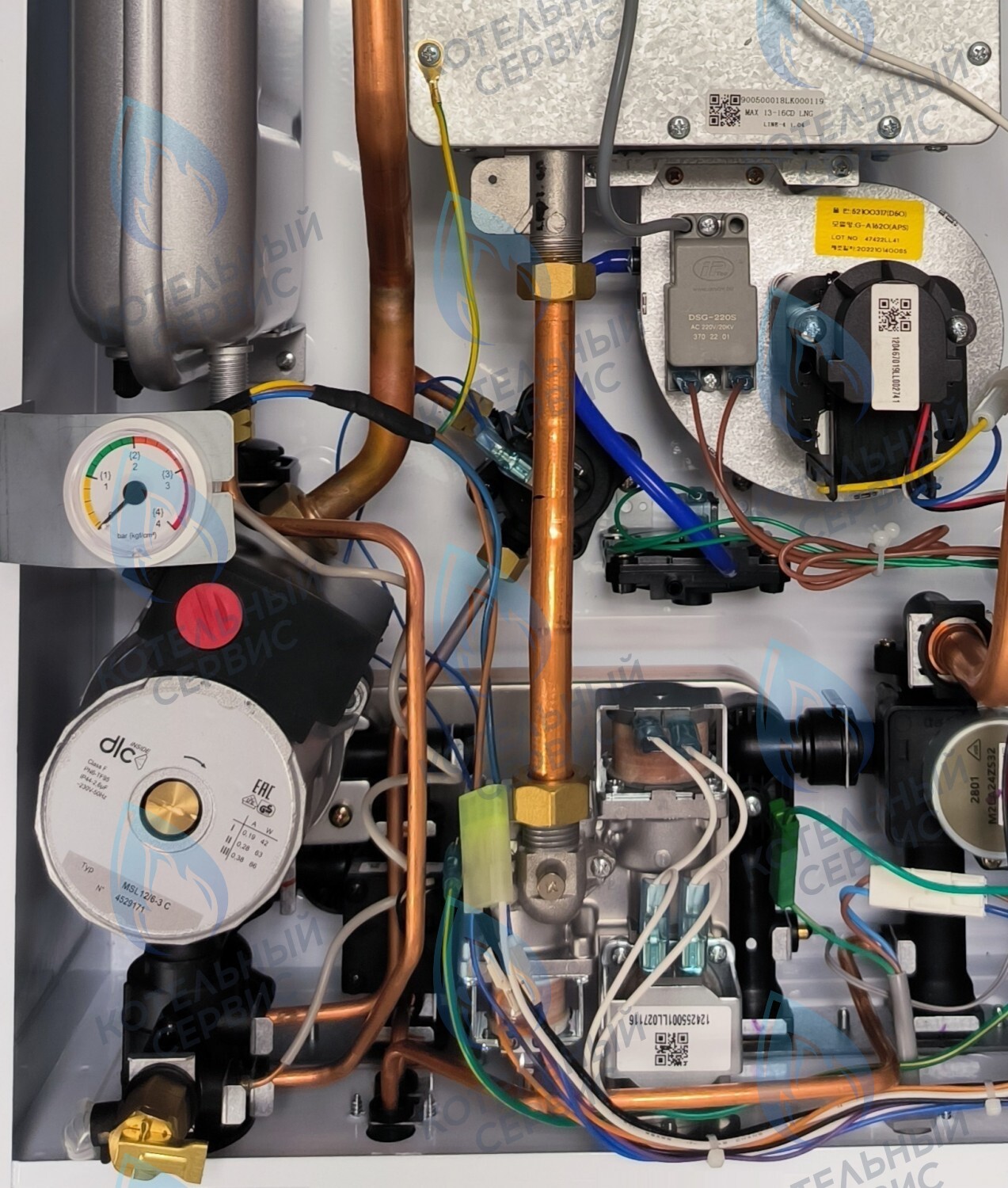 PMDS1AW60-WC86DS-Комп Насос циркуляционный 6м для DAESUNG A16-24 MAX (52050118, 52050130), ARDERIA 2.13-20, CELTIC-DS 3.13-3.20 (2050118, 2050130) (не подходит для MASTER GAS SEOUL и DAESUNG A 2019, где насос посередине) в Новосибирске