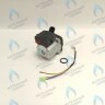 PMDS1AW60-WC86DS-Комп Насос циркуляционный 6м для DAESUNG A16-24 MAX (52050118, 52050130), ARDERIA 2.13-20, CELTIC-DS 3.13-3.20 (2050118, 2050130) (не подходит для MASTER GAS SEOUL и DAESUNG A 2019, где насос посередине) в Новосибирске
