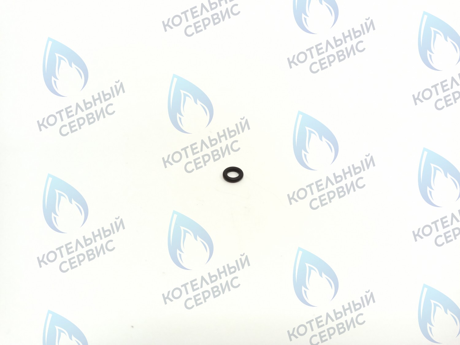 BI1592 120 Прокладка O-Ring 2,0 X 5,5 (BI1592 120) BIASI в Новосибирске