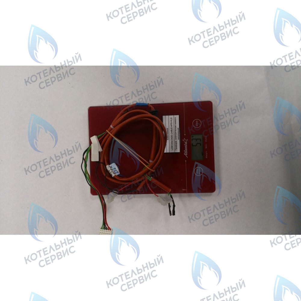 6305100009 Проводка  электрическая низкого  напряжения BAXI в Новосибирске