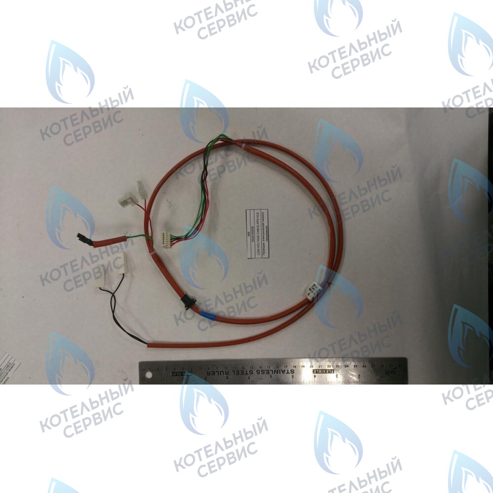 6305100009 Проводка  электрическая низкого  напряжения BAXI в Новосибирске