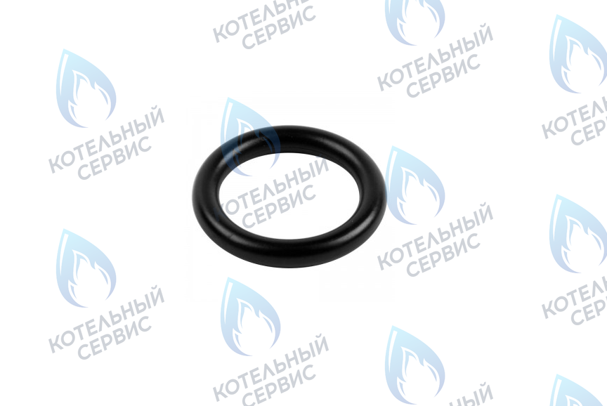 0020034114 Прокладка 14x9,5x2,5 PROTHERM в Новосибирске