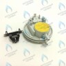BI1596 102 Прессостат (BI1596 102) BIASI в Новосибирске