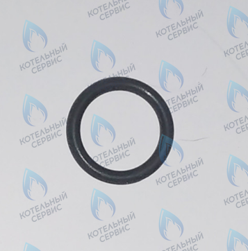 45560250 Кольцо уплотнительное FERROLI в Новосибирске