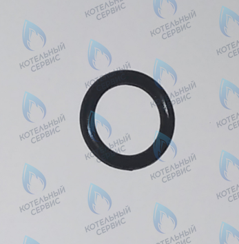 45560540 Кольцо уплотнительное FERROLI в Новосибирске