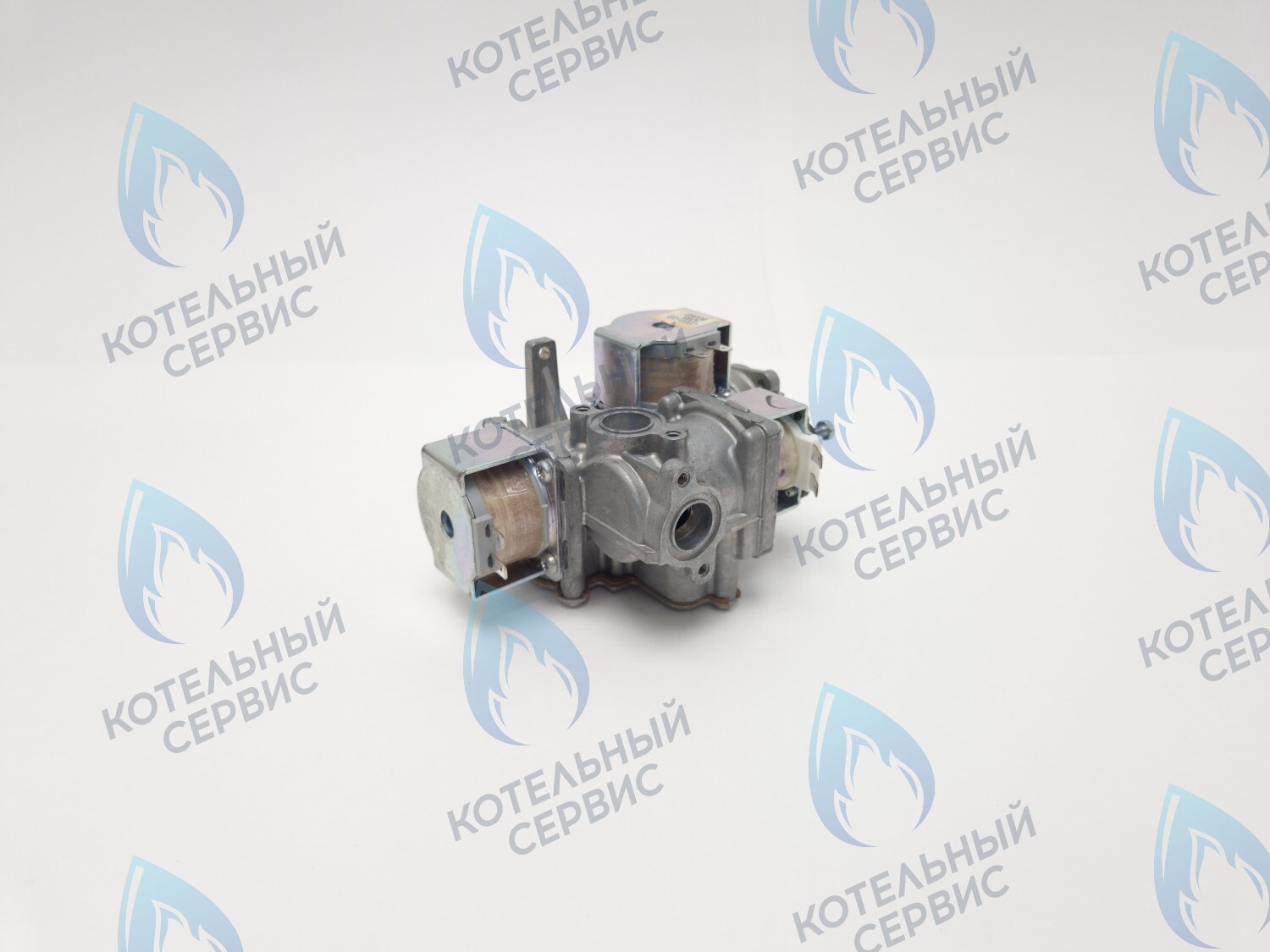 B200-02E-190 Клапан газовый 110V LOTTE E&M Coaxial 13-30K в Новосибирске
