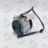 0020197549 Двигатель насоса Protherm Пантера (без улитки) 30 KOV / KTV (H-RU)(63/81W) (без улитки) (против часовой, втулка 40мм, колесо 68/21мм) в Новосибирске