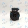 PH-W30CW70-WL132BX Двигатель насоса (без улитки) WILO RS 15/7 132w (30мм по часовой) FERROLI, FONDITAL, BAXI и др в Новосибирске