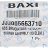 5663710 Горелка (13 элементов) BAXI в Новосибирске