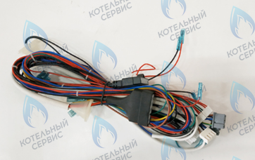 46161690 Комплект проводов котла FERROLI в Новосибирске