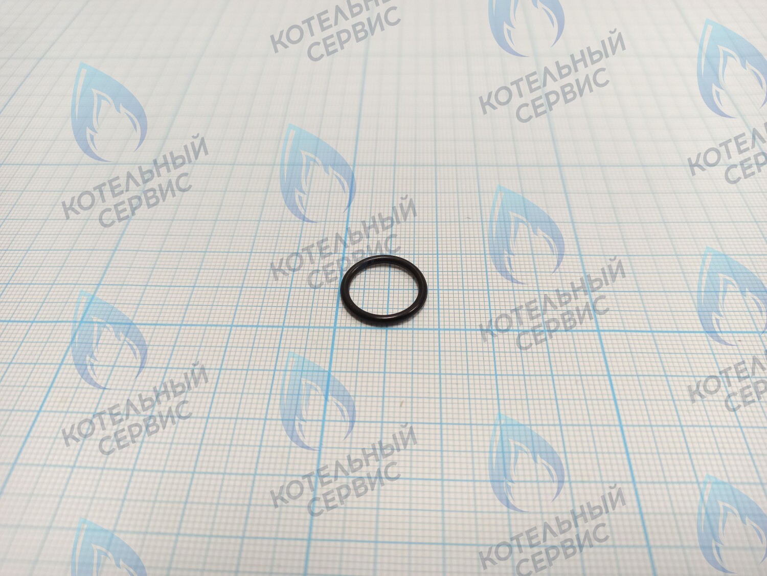 BI1001 129 Прокладка O-Ring 1,78x14,00 BIASI в Новосибирске