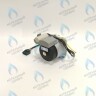 PH-W21CCW50-WA79PR-5PIN-Комп Двигатель насоса 1000L/H аналог WILO INTVACL 15/5-2 Protherm Гепард 23 MTV / MOV вер. 19, Пантера 25 KTV / KOV, 30 KTV вер. 19 (без улитки) (против часовой, втулка 35мм, колесо 68/21мм) (0020097216, 0020197548) в Новосибирске