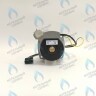 PH-W21CCW50-WA79PR-5PIN-Комп Двигатель насоса 1000L/H аналог WILO INTVACL 15/5-2 Protherm Гепард 23 MTV / MOV вер. 19, Пантера 25 KTV / KOV, 30 KTV вер. 19 (без улитки) (против часовой, втулка 35мм, колесо 68/21мм) (0020097216, 0020197548) в Новосибирске
