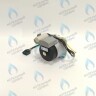 PH-W21CCW50-WA79PR-5PIN-Комп Двигатель насоса 1000L/H аналог WILO INTVACL 15/5-2 Protherm Гепард 23 MTV / MOV вер. 19, Пантера 25 KTV / KOV, 30 KTV вер. 19 (без улитки) (против часовой, втулка 35мм, колесо 68/21мм) (0020097216, 0020197548) в Новосибирске