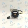 PH-W21CCW50-WA79PR-5PIN-Комп Двигатель насоса 1000L/H аналог WILO INTVACL 15/5-2 Protherm Гепард 23 MTV / MOV вер. 19, Пантера 25 KTV / KOV, 30 KTV вер. 19 (без улитки) (против часовой, втулка 35мм, колесо 68/21мм) (0020097216, 0020197548) в Новосибирске