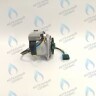 PH-W21CCW50-WA79PR-5PIN-Комп Двигатель насоса 1000L/H аналог WILO INTVACL 15/5-2 Protherm Гепард 23 MTV / MOV вер. 19, Пантера 25 KTV / KOV, 30 KTV вер. 19 (без улитки) (против часовой, втулка 35мм, колесо 68/21мм) (0020097216, 0020197548) в Новосибирске
