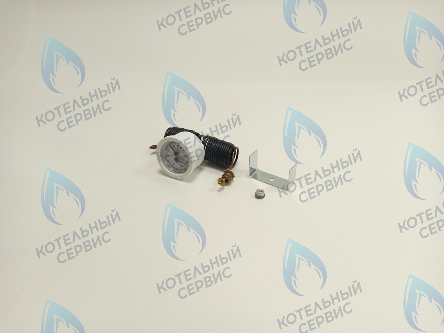 39806020 Термоманометр 0-6 bar 0-120C  (36400790) FERROLI PEGASUS F3 в Новосибирске