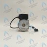 PH-W21CW60-WC83-5PIN-Комп Двигатель насоса аналог WILO VHSL15/6 HE-2 (по часовой стрелке) PROTHERM Лев, Пантера V.18 (0020078492), Скат K13, Дельфин (0020094635), Скат V14 (0010025841) VAILLANT atmo/turboTEC 20-28 КВТ (0020213167, 0020005803), eloBLOCK (0020107584) в Новосибирске