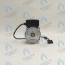 PH-W21CW60-WC83-5PIN-Комп Двигатель насоса аналог WILO VHSL15/6 HE-2 (по часовой стрелке) PROTHERM Лев, Пантера V.18 (0020078492), Скат K13, Дельфин (0020094635), Скат V14 (0010025841) VAILLANT atmo/turboTEC 20-28 КВТ (0020213167, 0020005803), eloBLOCK (0020107584) в Новосибирске