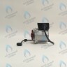 PH-W21CW60-WC83-5PIN-Комп Двигатель насоса аналог WILO VHSL15/6 HE-2 (по часовой стрелке) PROTHERM Лев, Пантера V.18 (0020078492), Скат K13, Дельфин (0020094635), Скат V14 (0010025841) VAILLANT atmo/turboTEC 20-28 КВТ (0020213167, 0020005803), eloBLOCK (0020107584) в Новосибирске