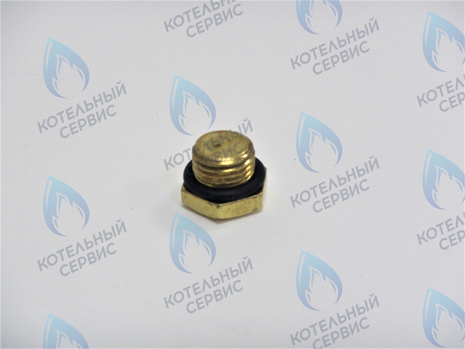 ZZ009 Заглушка 1/4" наружная резьба в Новосибирске