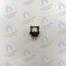 0020027613 Датчик температуры (накладной) D 13-15мм Protherm Рысь Леопард в Новосибирске