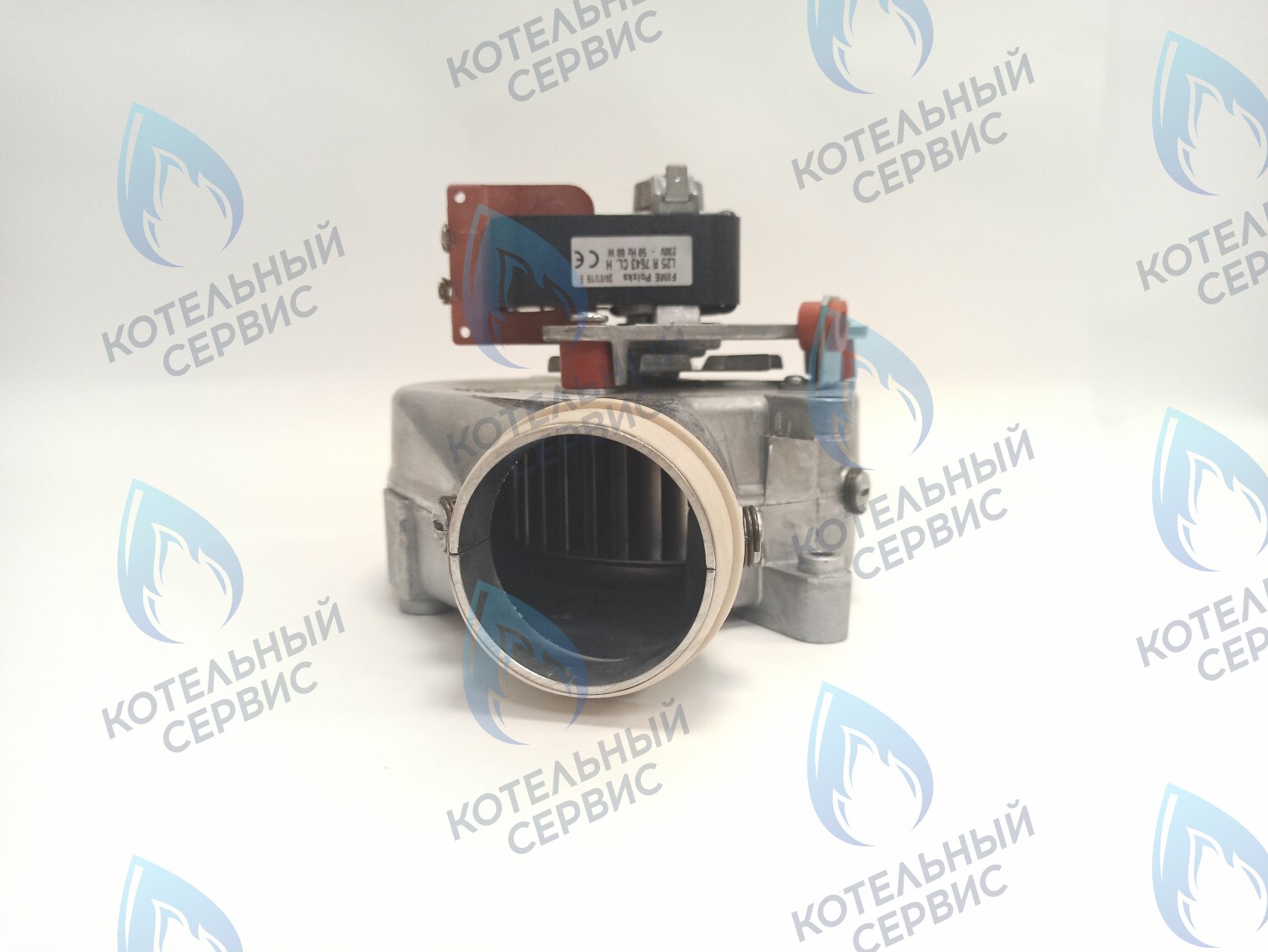 2000801860 Вентилятор дымоудаления 60w 30KTV19 PROTHERM в Новосибирске