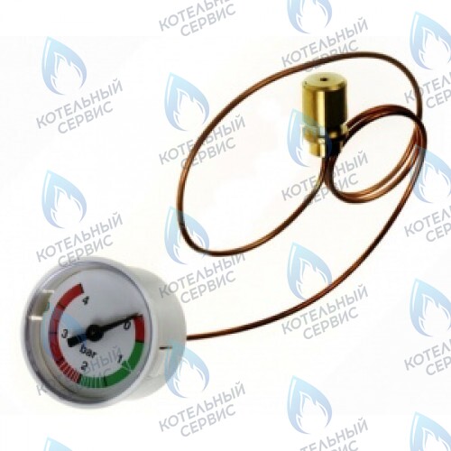 0020094636 Манометр PROTHERM в Новосибирске