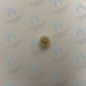50101098 Клапан байпасса (50101098) ELECTROLUX в Новосибирске