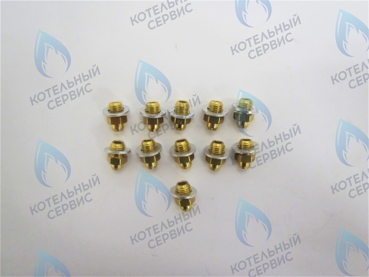 39819600 Комплект форсунок LPG на сжиженный газ D0,79 (11шт/комп)  (ITA398907242) FERROLI в Новосибирске