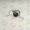 PH-W21CW50-DA84-2PIN Двигатель насоса DUCA APW 15-5.1A (1 скорости) аналог Wilo Ariston (60001584, 60000876, 60000876-01) в Новосибирске