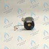 PH-W21CW50-DA84-2PIN Двигатель насоса DUCA APW 15-5.1A (1 скорости) аналог Wilo Ariston (60001584, 60000876, 60000876-01) в Новосибирске