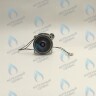 PH-W21CW50-DA84-2PIN Двигатель насоса DUCA APW 15-5.1A (1 скорости) аналог Wilo Ariston (60001584, 60000876, 60000876-01) в Новосибирске