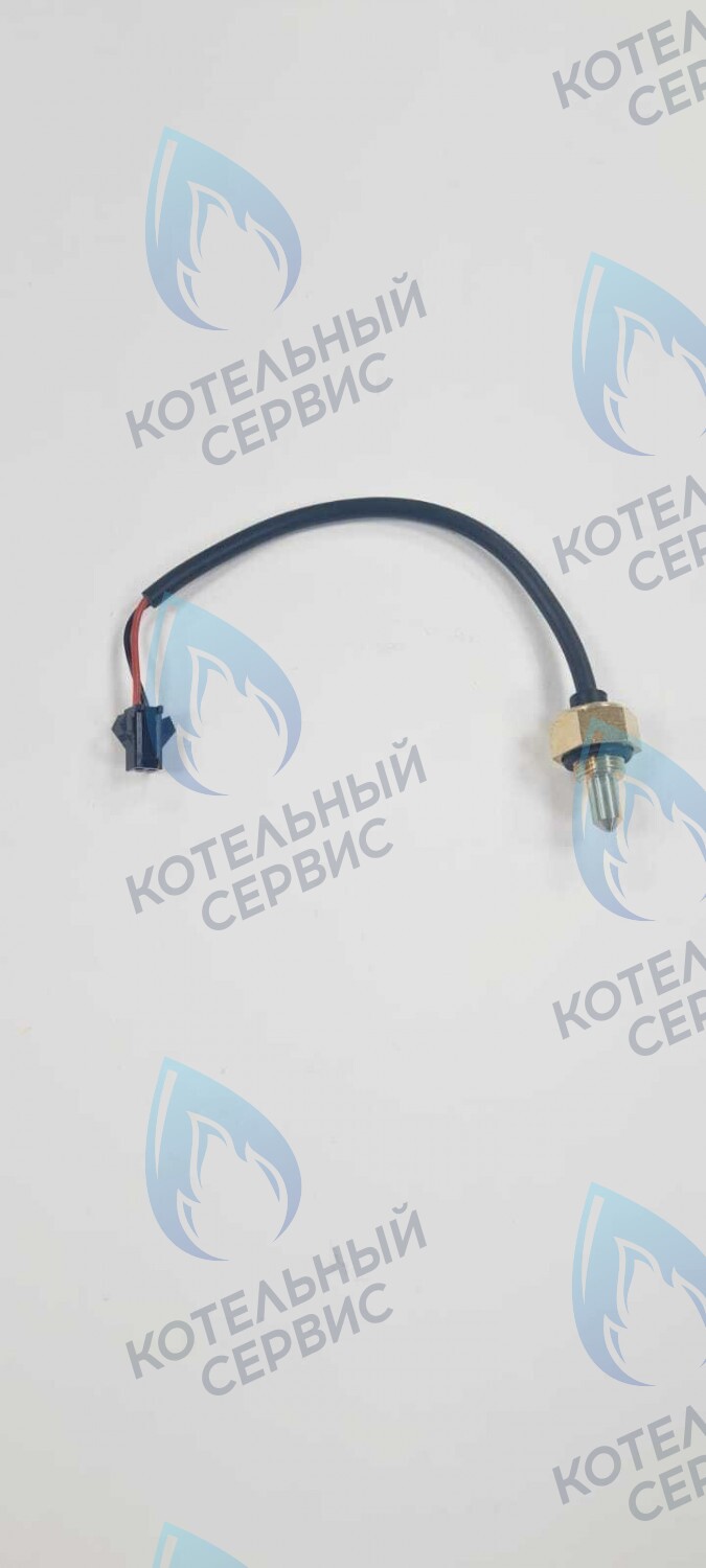 TS008-WP-10-02 Датчик температуры погружной G8 с проводом - папа Mizudo 10кОм в Новосибирске