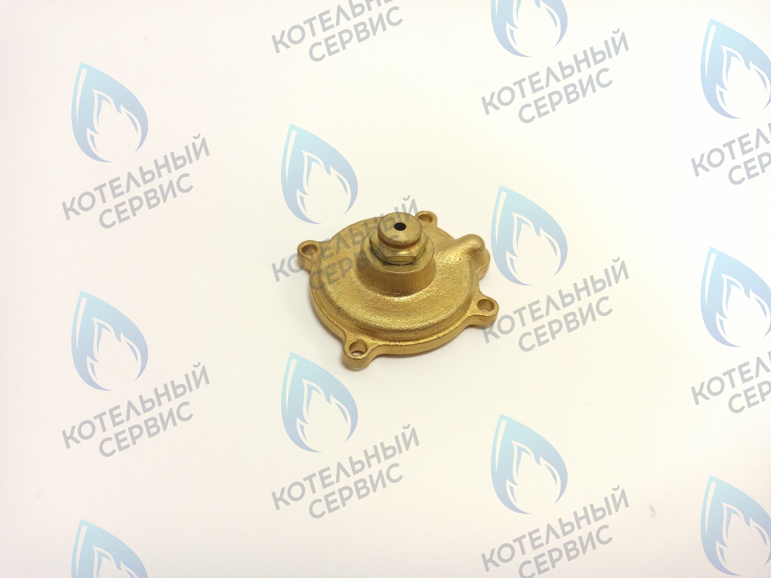70102002 Крышка датчика давления в сборе ELECTROLUX в Новосибирске