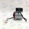 PH-W21CCW67-DW92PR-5PIN Двигатель насоса DUCA VPWR 6.7A (против часовой стрелки) PROTHERM Пантера H-RU (0020197549, 0020209790) (замена WILO INTVACL 15/6.7-2) ПАНТЕРА 35 KTV H-RU (0020186162) (замена VACL 15/7) в Новосибирске