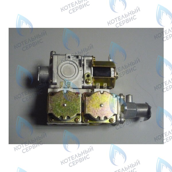 398000090 Газовый клапан (электронная регулировка) BL22-02DC-DC220V Ferroli Fortuna в Новосибирске