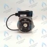 PH-G32CCW50-GR85-3PIN Двигатель насоса GRUNDFOS VPAL-5/2M 85W для VAILLANT (0020014171) в Новосибирске