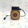 PH-G32CCW50-GR85-3PIN Двигатель насоса GRUNDFOS VPAL-5/2M 85W для VAILLANT (0020014171) в Новосибирске