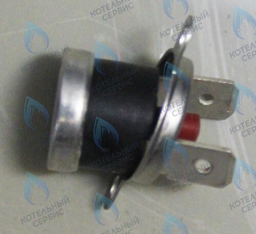 0020094666 Термостат 100°C PROTHERM в Новосибирске