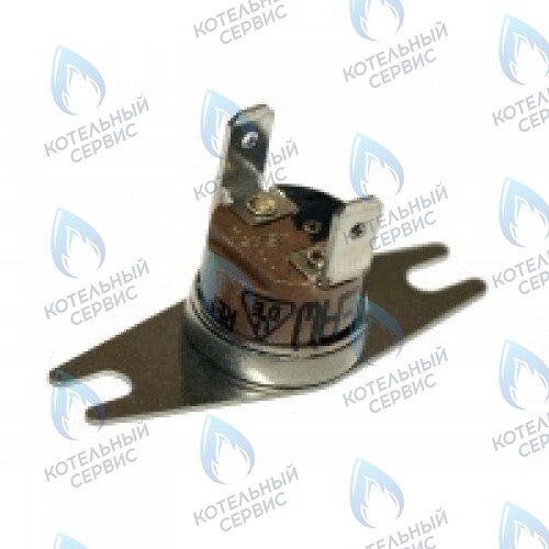 0020049261 Термостат продуктов сгор.65+3°C PROTHERM в Новосибирске