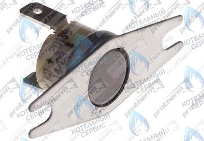 0020049261 Термостат продуктов сгор.65+3°C PROTHERM в Новосибирске