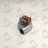 39818021 Вентилятор дымоудаления (60W) Ferroli Diva, Domina N, DOMIproject F 28-37 (39818020, 36601872, 36601871)) в Новосибирске
